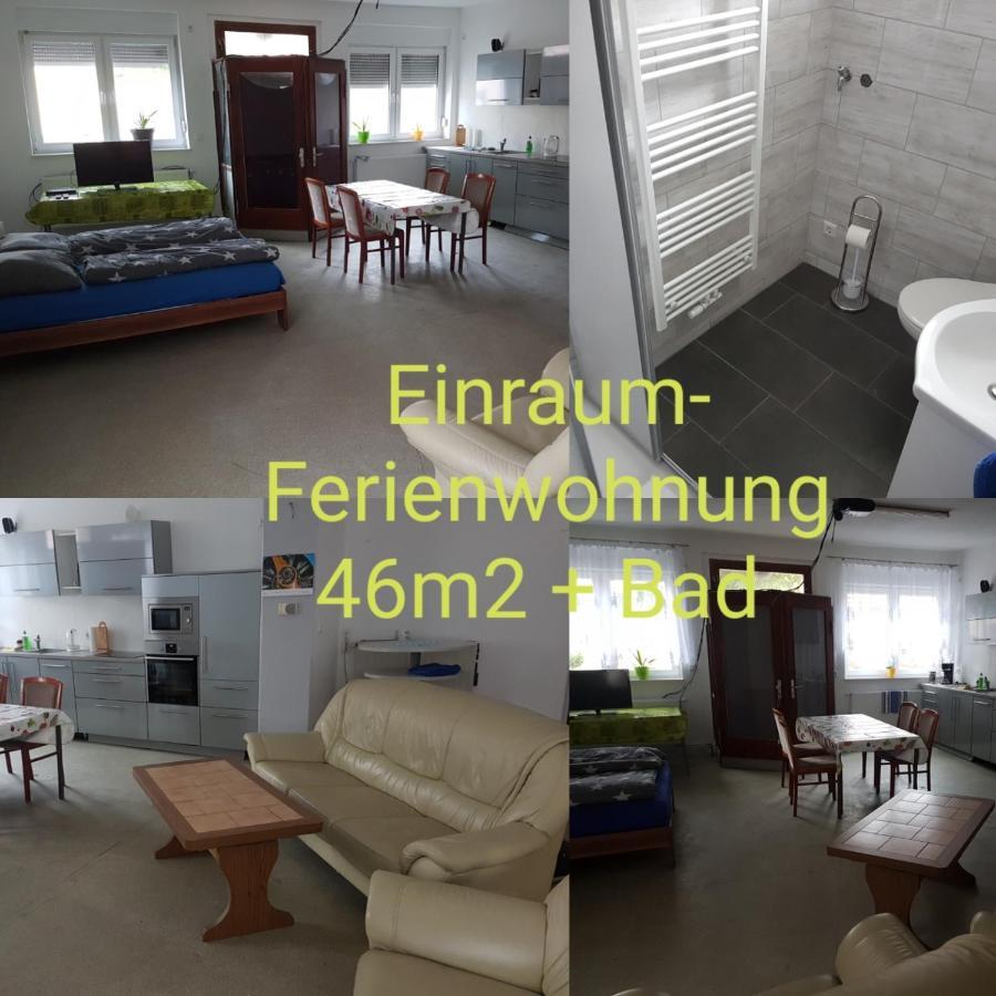 Einraum-Ferienwohnung 46M2 Eisenhuettenstadt-Diehlo Dış mekan fotoğraf